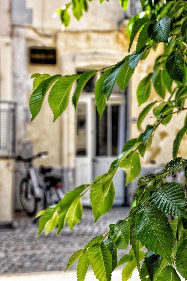 La Fontaine - Ecusson * Montpellier